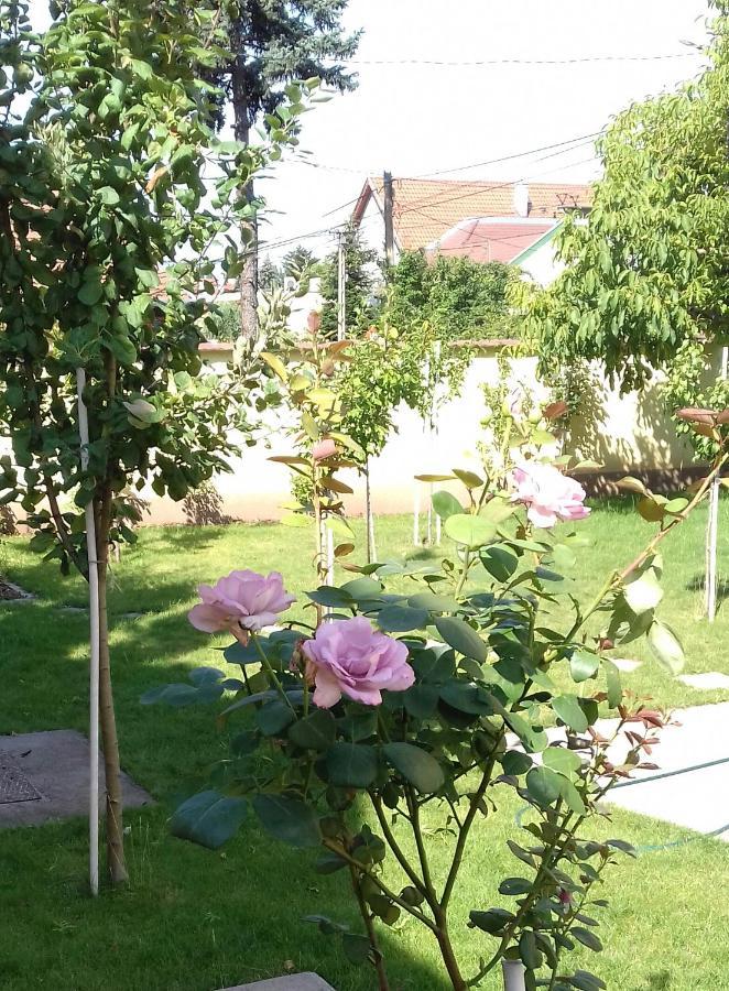 Apartament Aranyoshaz-Vendeghaz Budapeszt Zewnętrze zdjęcie