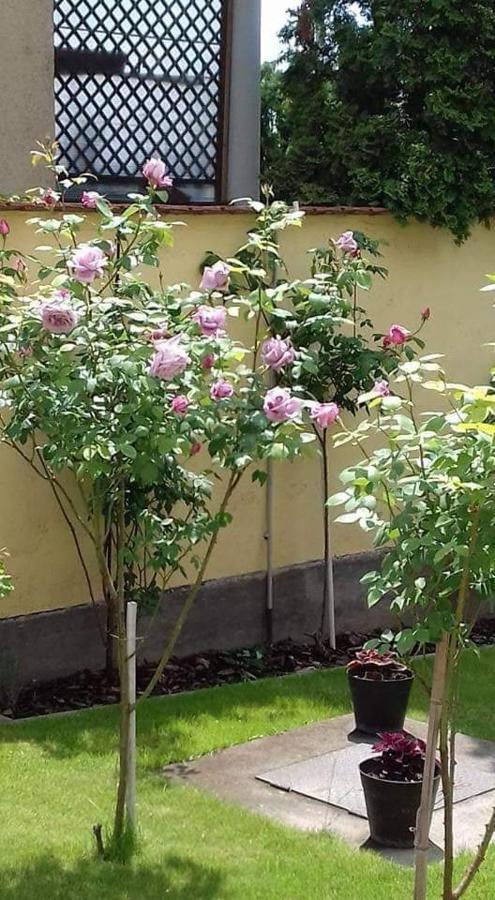 Apartament Aranyoshaz-Vendeghaz Budapeszt Zewnętrze zdjęcie