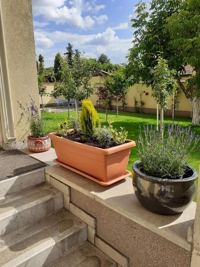 Apartament Aranyoshaz-Vendeghaz Budapeszt Zewnętrze zdjęcie